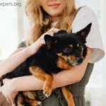 ภาวะ New-Pet Blue